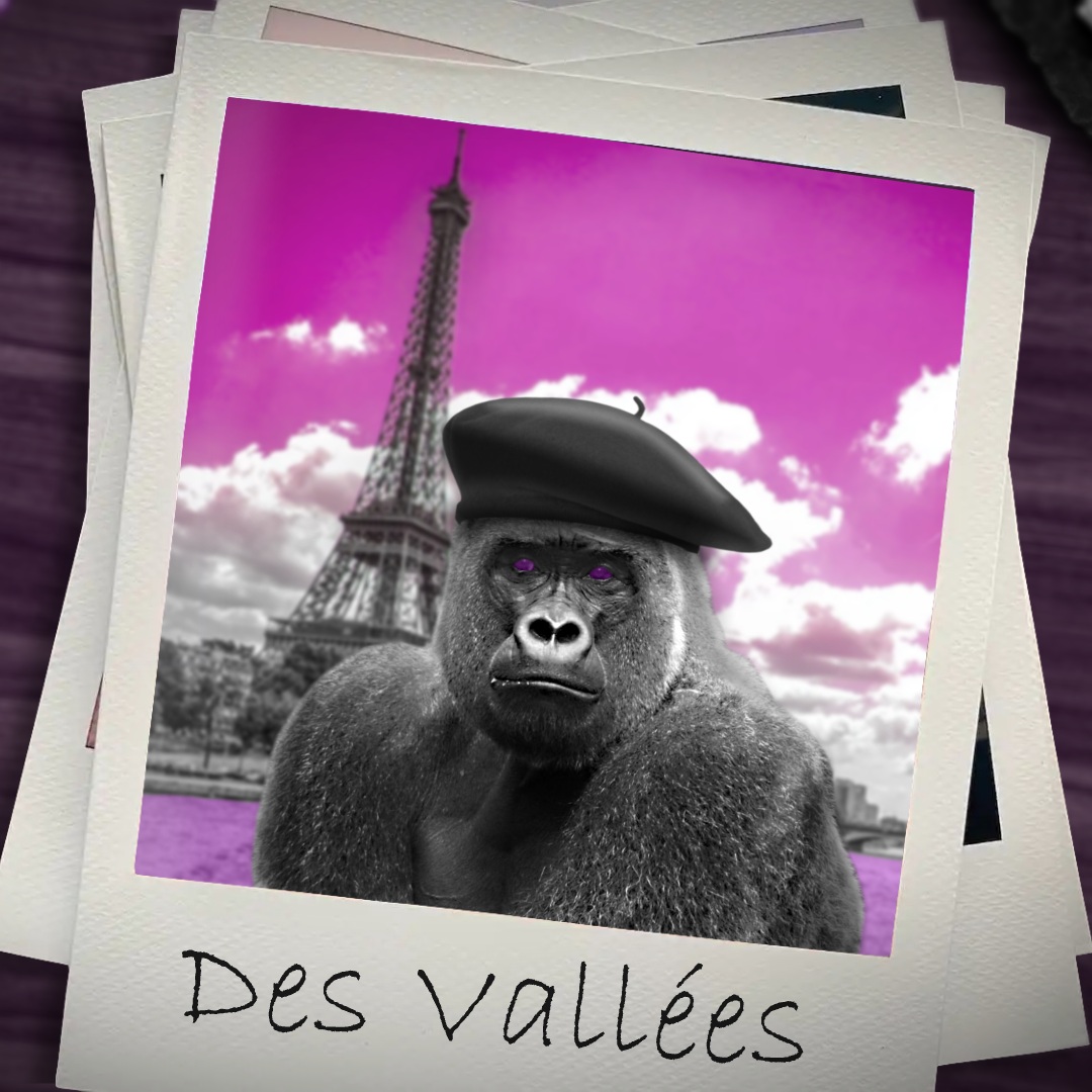 Des Vallées