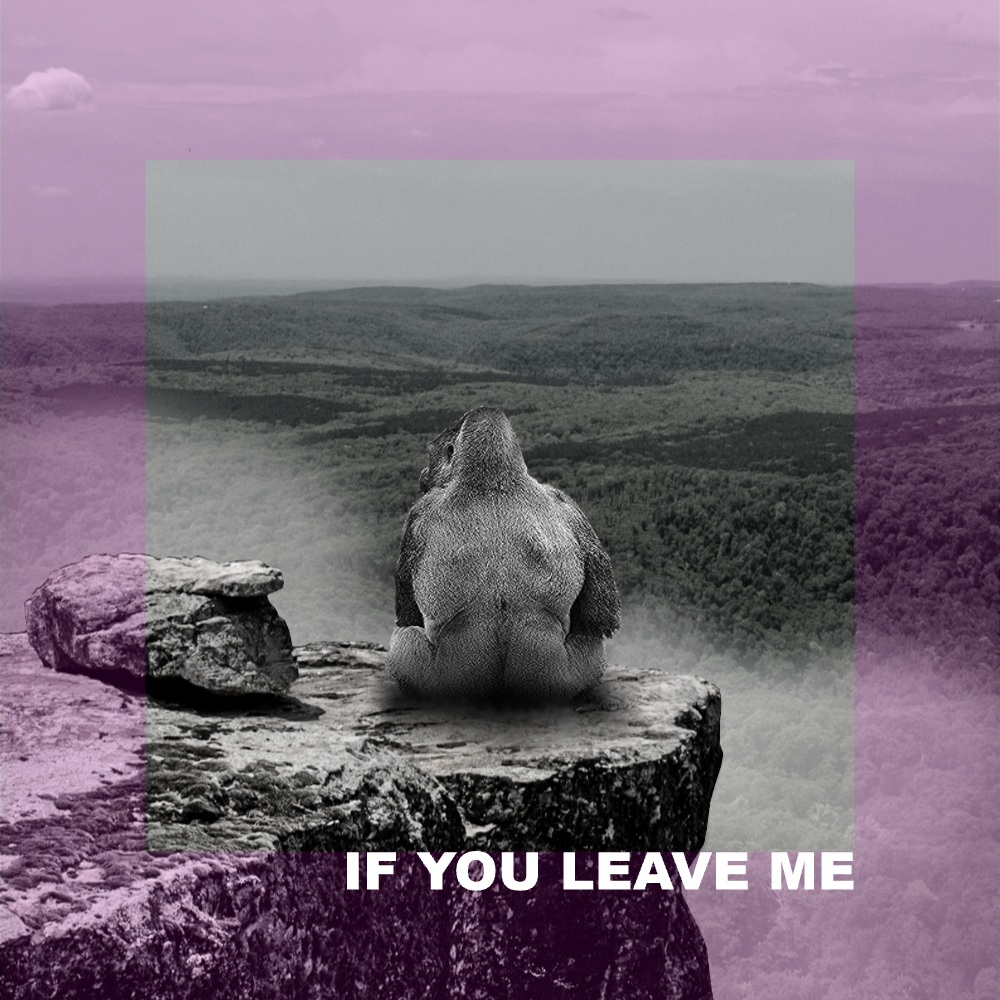 If You Leave Me